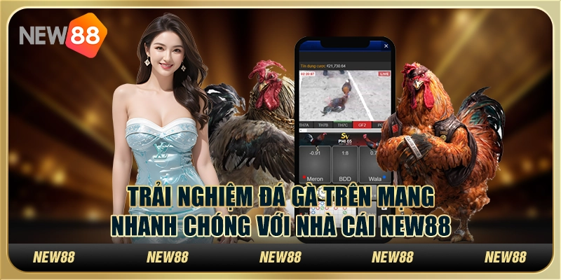 Trải Nghiệm Đá Gà Trên Mạng Nhanh Chóng Với Nhà Cái New88