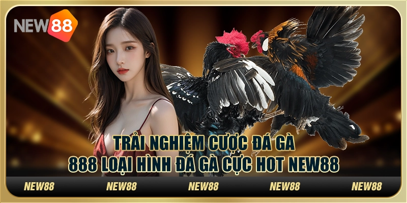 Trải Nghiệm Cược Đá Gà 888 Loại Hình Đá Gà Cực Hot New88