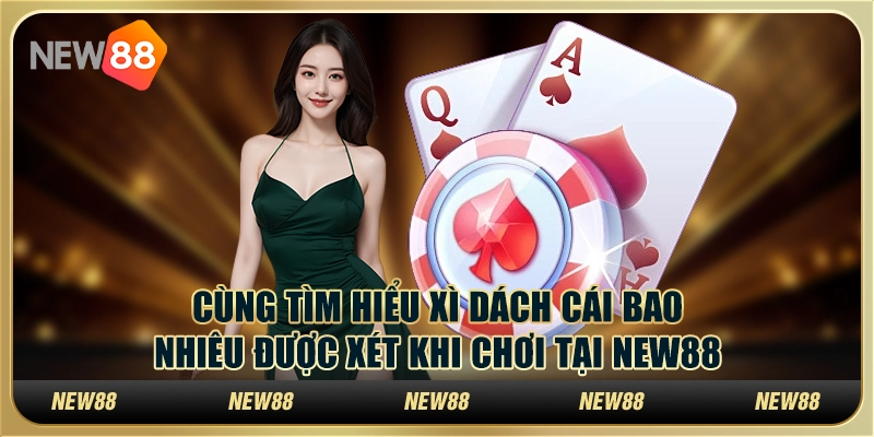 Tìm Hiểu Xì Dách Cái Bao Nhiêu Được Xét Khi Chơi Tại New88