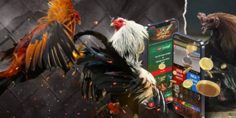 Tham gia đá gà trực tuyến mang lại sự mới mẻ