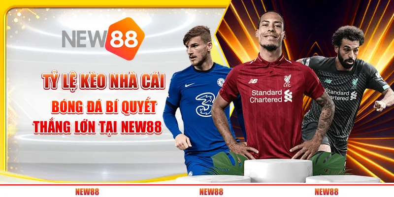 Tỷ Lệ Kèo Nhà Cái Bóng Đá: Bí Quyết Thắng Lớn Tại New88