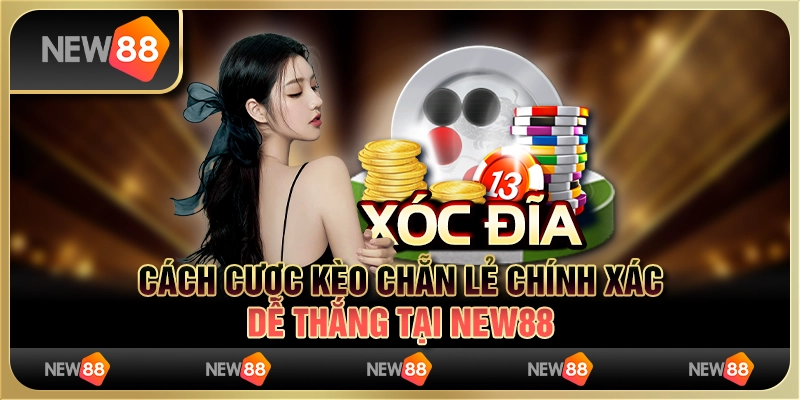 Cách Cược Kèo Chẵn Lẻ Chính Xác, Hiệu Quả Dễ Thắng Tại New88