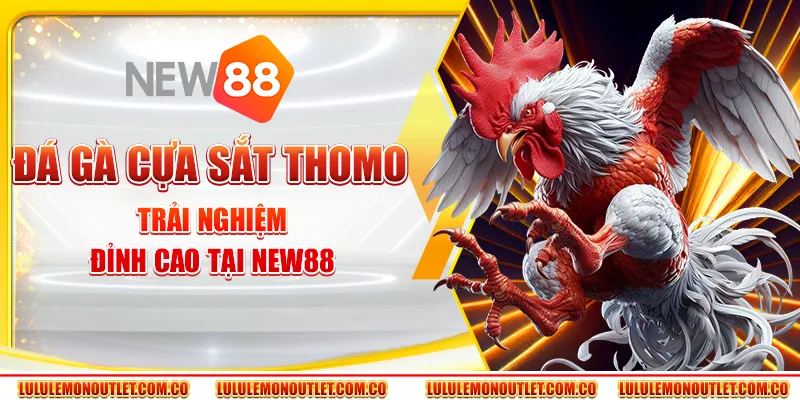 Đá Gà Cựa Sắt Thomo: Trải Nghiệm Đỉnh Cao, Hấp Dẫn Tại New88