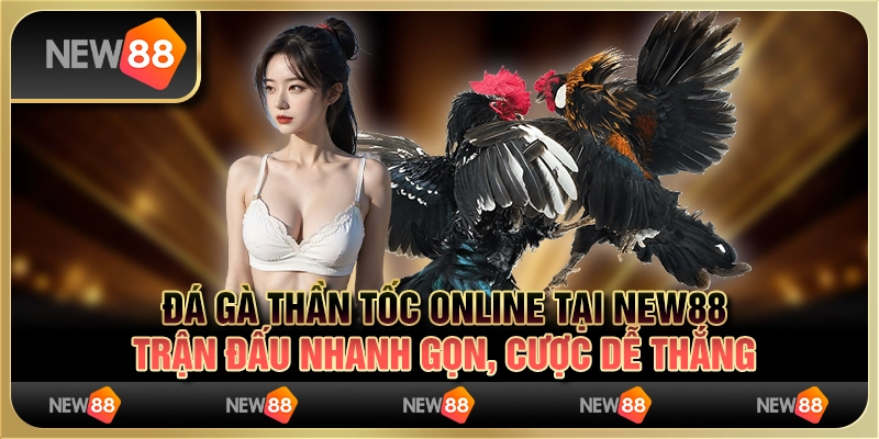 Đá Gà Thần Tốc Online New88 - Trận Đấu Nhanh Gọn, Dễ Thắng