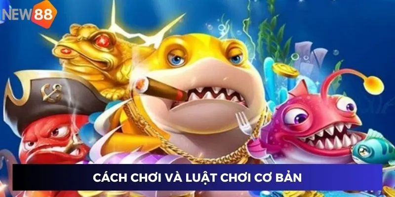 Cách chơi và luật chơi cơ bản