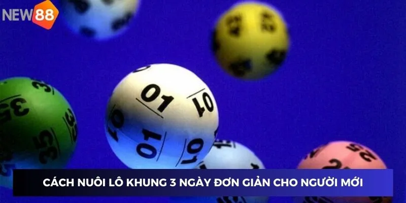 Cách nuôi lô khung 3 ngày đơn giản cho người mới