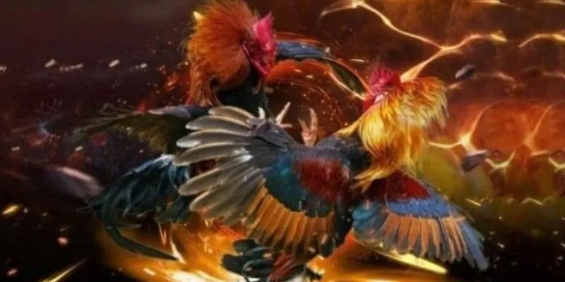 Nhiều loại hình cược đa dạng cho người chơi lựa chọn