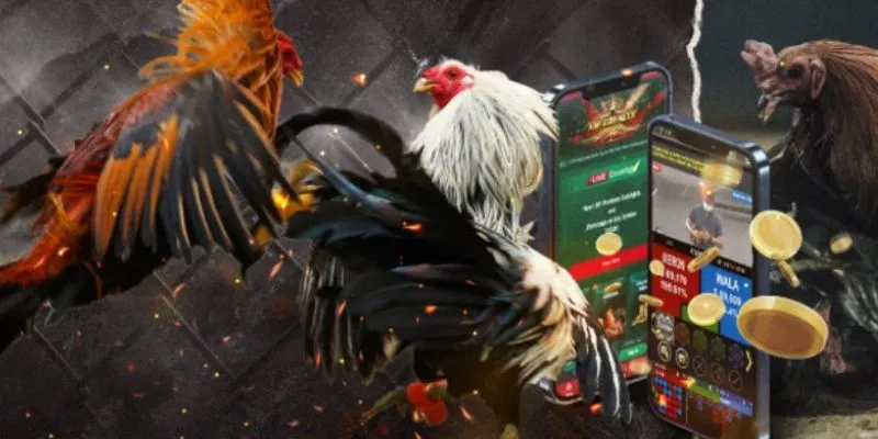 Những loại cược phổ biến nhất tại nhà cái