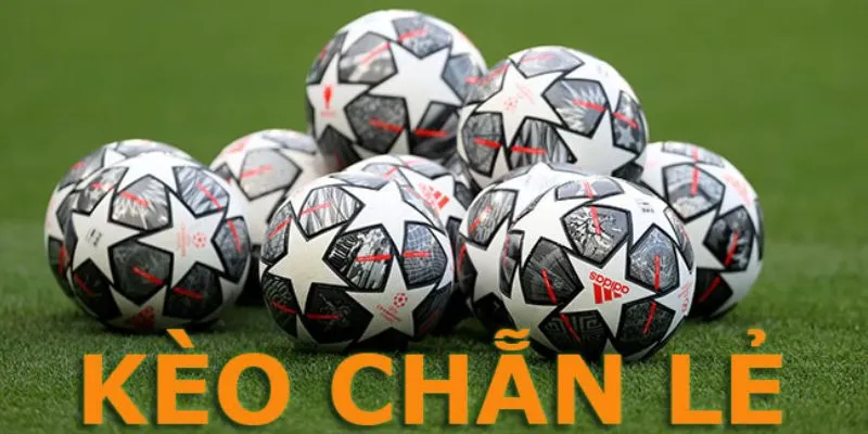 Nắm rõ luật chơi cơ bản để trải nghiệm