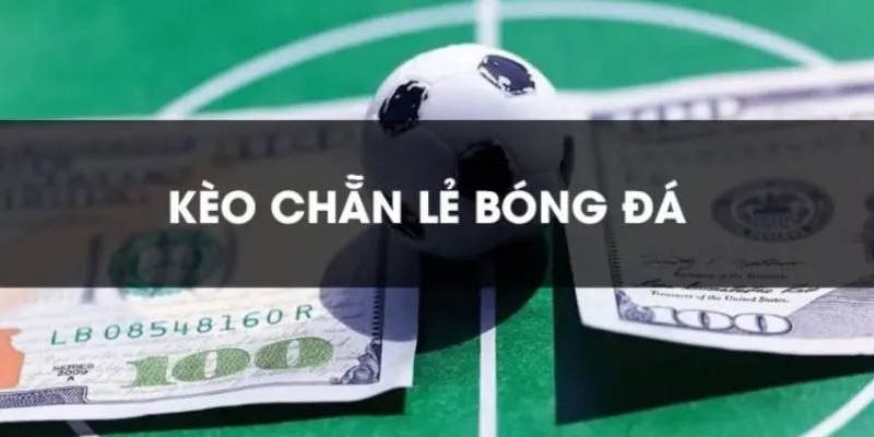 Các mẹo hay giúp bạn thắng lớn khi tham gia cược