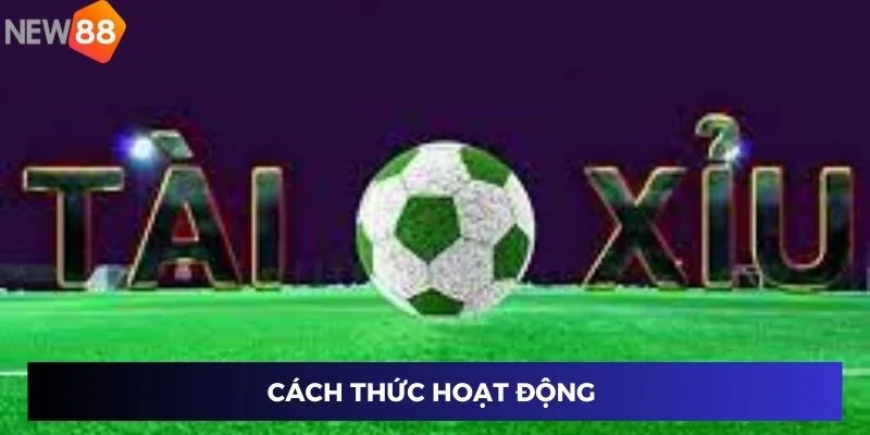 Cách thức hoạt động 