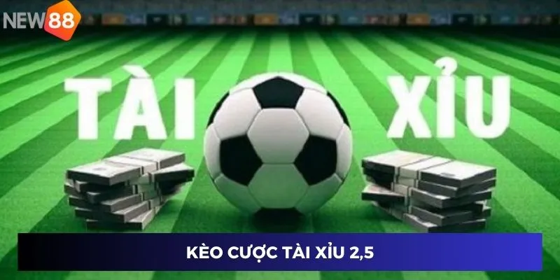 Kèo cược Tài Xỉu 2,5