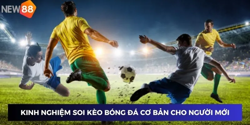 Kinh nghiệm soi kèo bóng đá cơ bản cho người mới