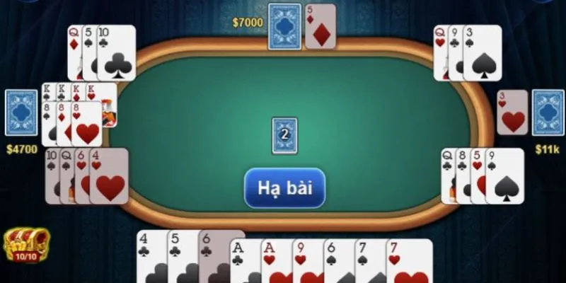 Sức hấp dẫn khi chơi phỏm tại New88