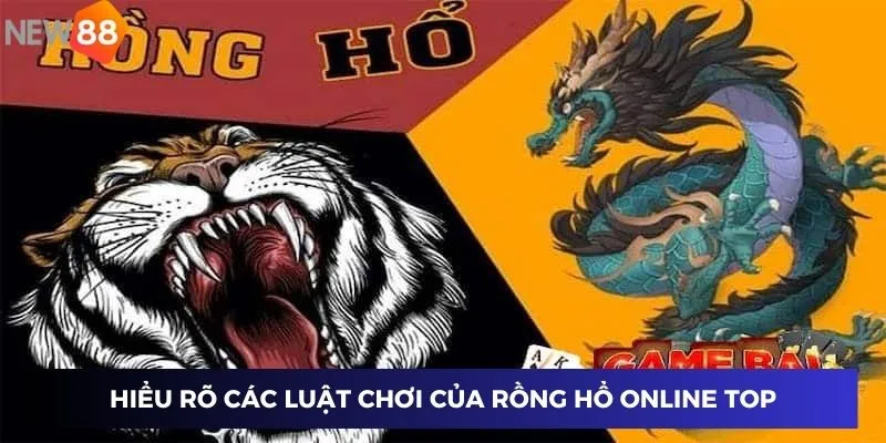 Hiểu rõ các luật chơi 
