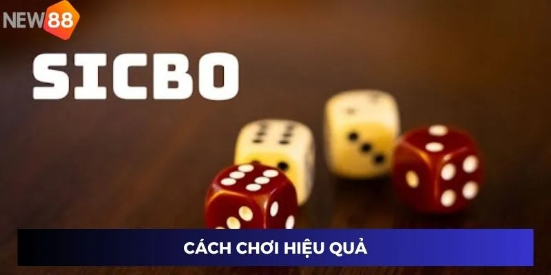 Cách chơi hiệu quả