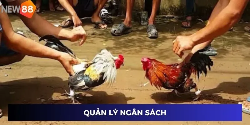 Quản lý ngân sách