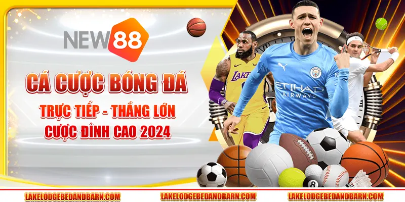 Cá Cược Bóng Đá Trực Tiếp - Thắng Lớn, Cược Đỉnh Cao 2024