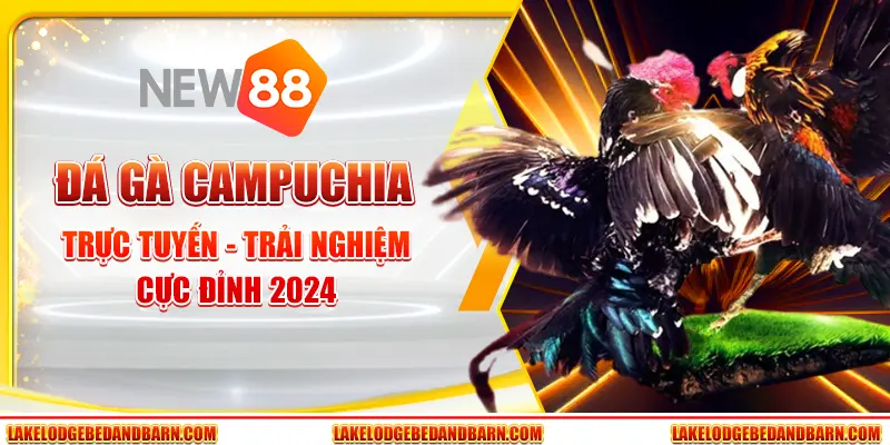 Đá Gà Campuchia Trực Tuyến - Trải Nghiệm Cực Đỉnh 2024