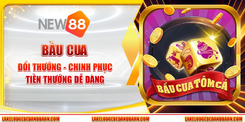 10 bau cua doi thuong chinh phuc tien thuong de dang 1