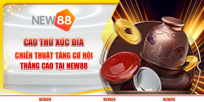 Cao Thủ Xóc Đĩa – Chiến Thuật Tăng Cơ Hội Thắng Cao Tại New88