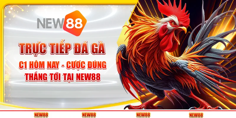 Trực Tiếp Đá Gà C1 Hôm Nay - Cược Đúng, Thắng Tới Tại New88
