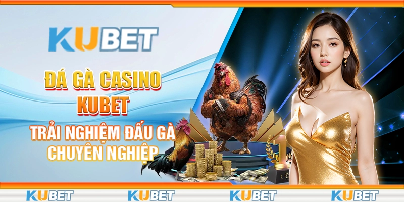 Đá Gà Casino Kubet: Trải Nghiệm Đấu Gà Chuyên Nghiệp