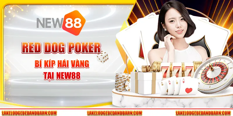 Red Dog Poker - Bí Kíp Hái Vàng Tại Nhà Cái New88