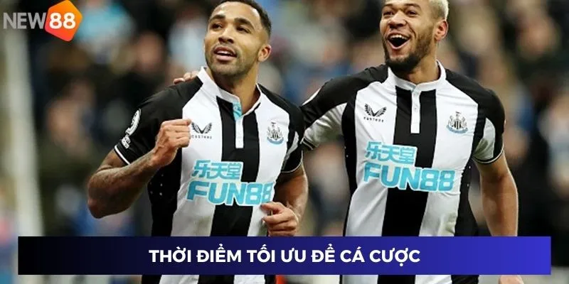 Thời điểm tối ưu để cá cược