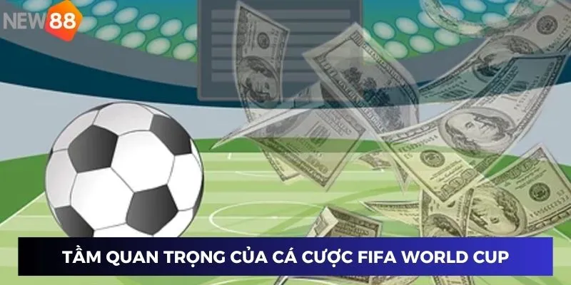 Tầm quan trọng của dữ liệu cá cược vòng loại FIFA World Cup