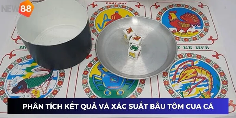 Phân tích kết quả và xác suất dự đoán bầu tôm cua cá