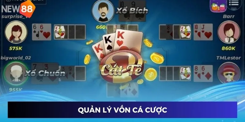 Quản lý vốn cá cược