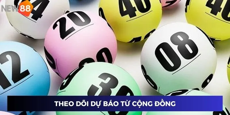 Theo dõi dự báo từ cộng đồng