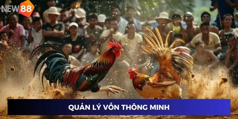 Quản lý vốn thông minh