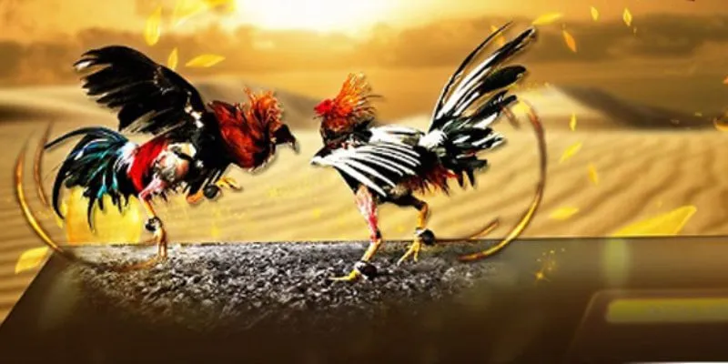 Tìm hiểu tựa game đá gà cựa sắt thomo