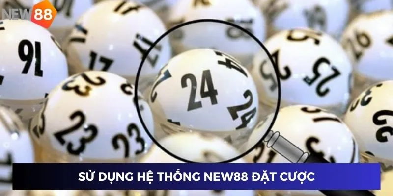 Sử dụng hệ thống New88 đặt cược