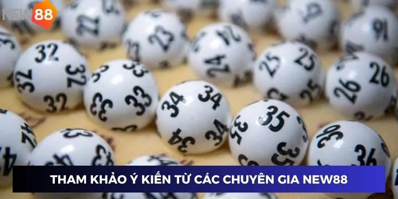 Tham khảo ý kiến từ các chuyên gia New88