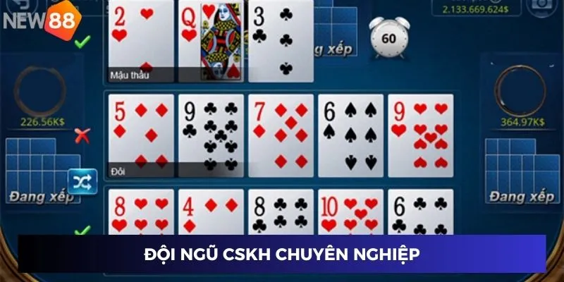 Đội ngũ CSKH chuyên nghiệp