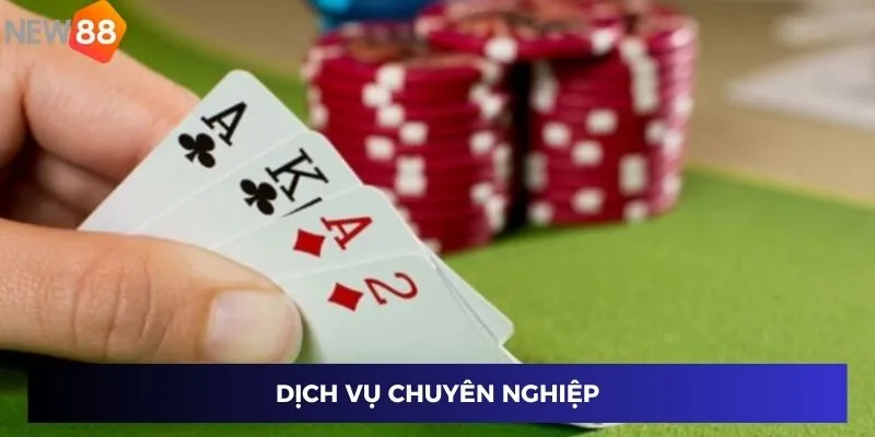 Dịch vụ chuyên nghiệp