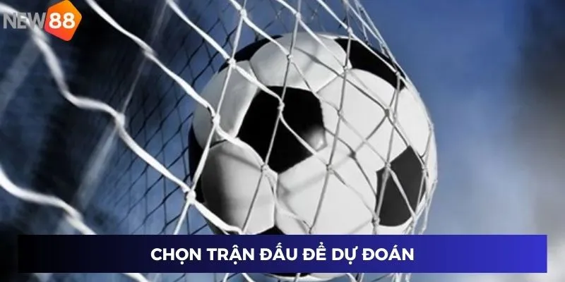 Chọn trận đấu để dự đoán