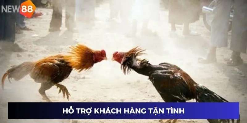 Hỗ trợ khách hàng tận tình