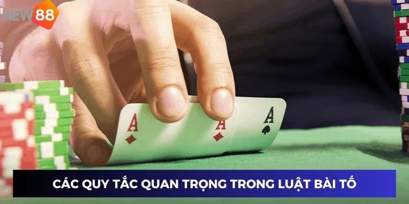 Các quy tắc quan trọng trong luật bài tố