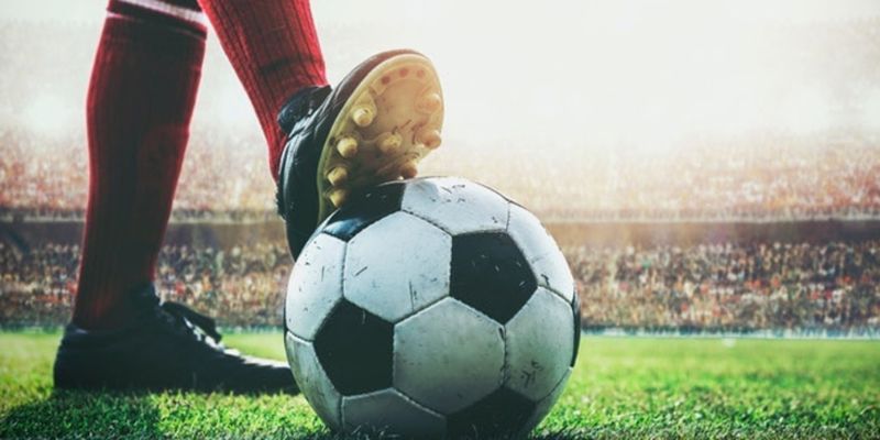 Nền tảng uy tín - chất lượng