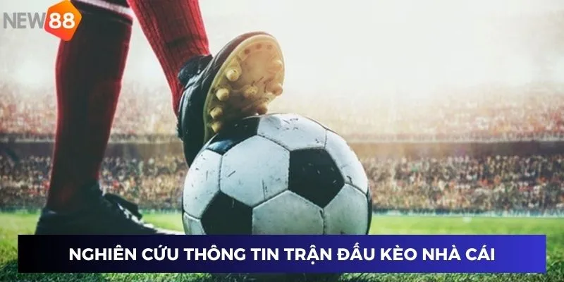 Nghiên cứu thông tin trận đấu kèo nhà cái