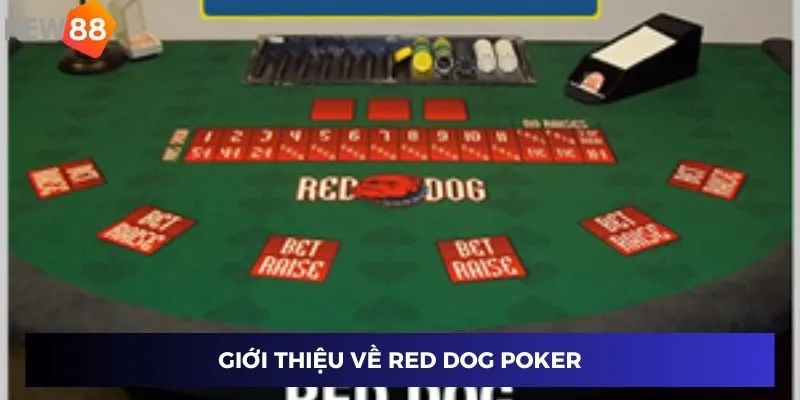 Giới thiệu về Red Dog Poker