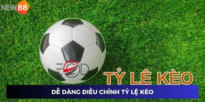 Dễ dàng điều chỉnh tỷ lệ kèo