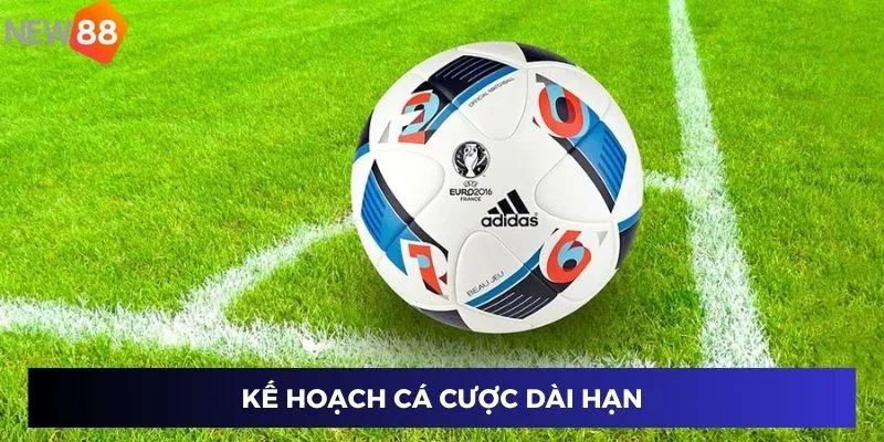 Kế hoạch cá cược dài hạn