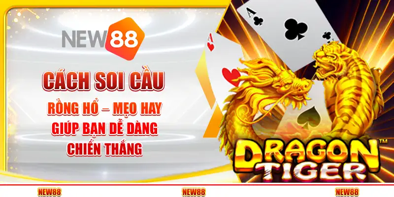 Cách Soi Cầu Rồng Hổ – Mẹo Hay Giúp Bạn Dễ Dàng Chiến Thắng