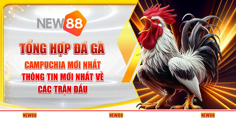 Tổng Hợp Đá Gà Campuchia Mới Nhất – Thông Tin Mới Nhất Về Các Trận Đấu