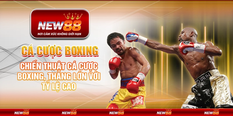 Cá cược boxing – Chiến thuật cá cược boxing, thắng lớn với tỷ lệ cao